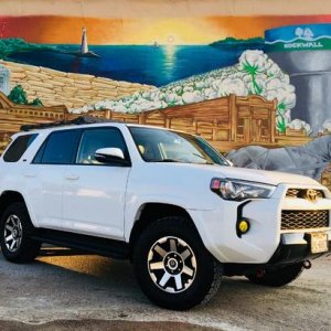 Mural T4R