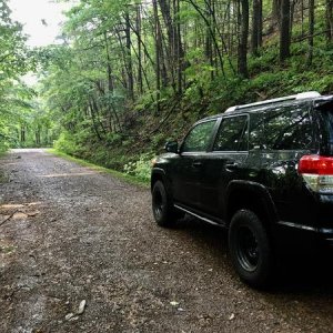 Cherokee National Forest