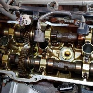 Valve cover gaskets, plugs and wires. Looks all right.