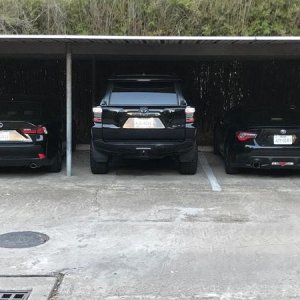 My family is all Toyota/ Lexus