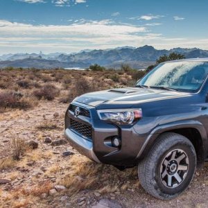 Stock at Butcher Jones - its Debut ride