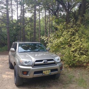 Sand Dunes State Forest