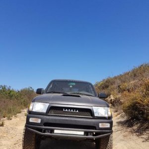 runner