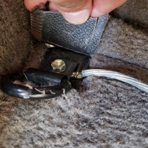 Amp grounded in back left corner under the carpet to the tie-down hook