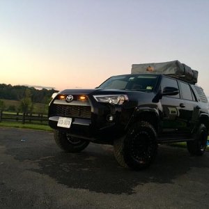 New Amber Fogs in the grille