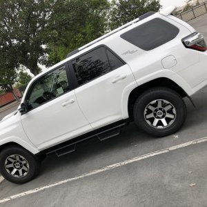 Stock