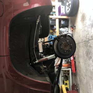 New Rear Shocks