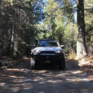 Frosty on the Rubicon Trail