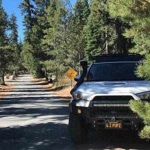 Frosty back on pavement leaving the Rubicon