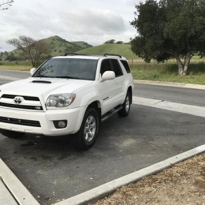 All Stock