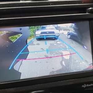 6008199827584266308