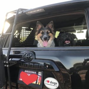 Zingo and Babu - my Navigators