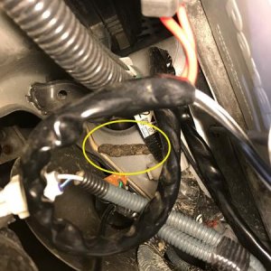 Some thing left a deposit under the hood.