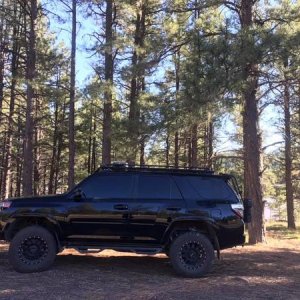 Flagstaff, AZ