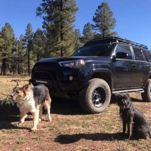 Zingo & Babu, the guard dogs!  Flagstaff, AZ