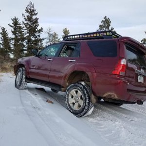 Playing in the snow