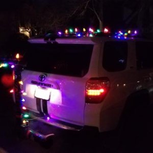 Xmas lights