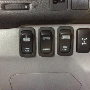 otrattw switches, had to cut some of the plastic to make them fit but they work great.