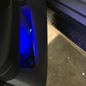 blue 194 LED bulb in door light.