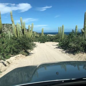 2 Beach.BajaSur