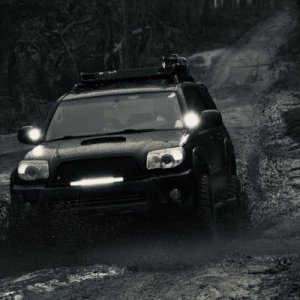 IMG 0445