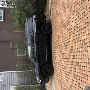 Unknown 11