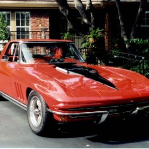 Vette Petrini 1