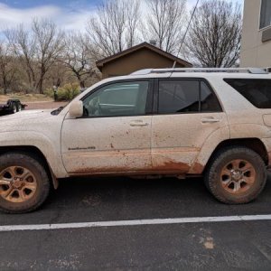 muddy