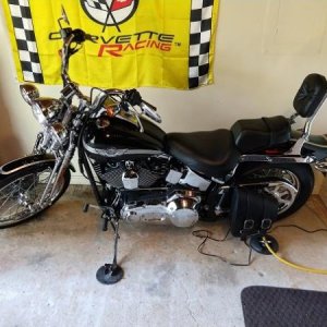 2003 Harley Davidson FXSTSi 100th Anniversary   web