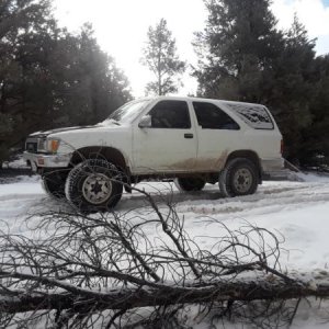 KM FEB 2019