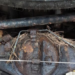 nice leaky housing