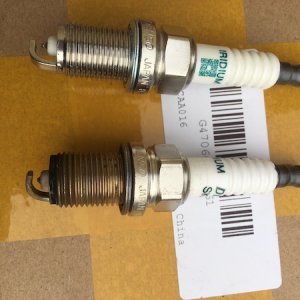 fullsizeoutput 55e