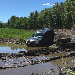 Mudding