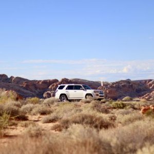 Blizzard At Valley Of Fire