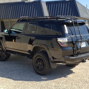 Rear