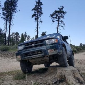 Poser flex.
