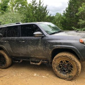 Muddy
