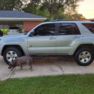 Another side view after removing running boards and added my nerf bars. Bonus Bleu dog decided she wanted to photo bombed me.