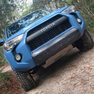 Ocala National Forest