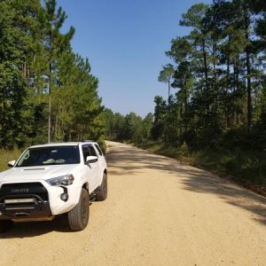 Tuskegee National Park