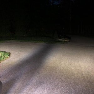 IMG 0171