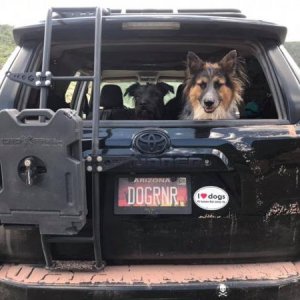 DOGRNR
