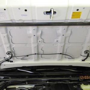IMG 6904 KC under hood light