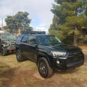 Toy 1