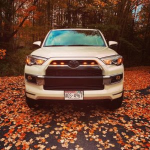 Autumn colors