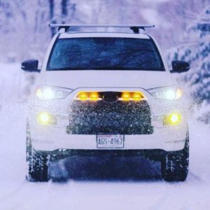 Playing in the snow