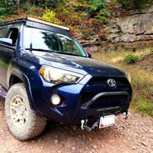 Out exploring George Washing National Forest
