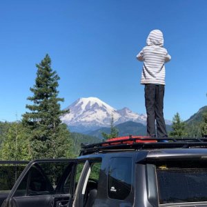 Mt. Rainier