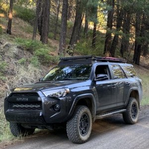 WABDR 2019