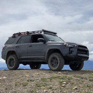 WABDR 2019